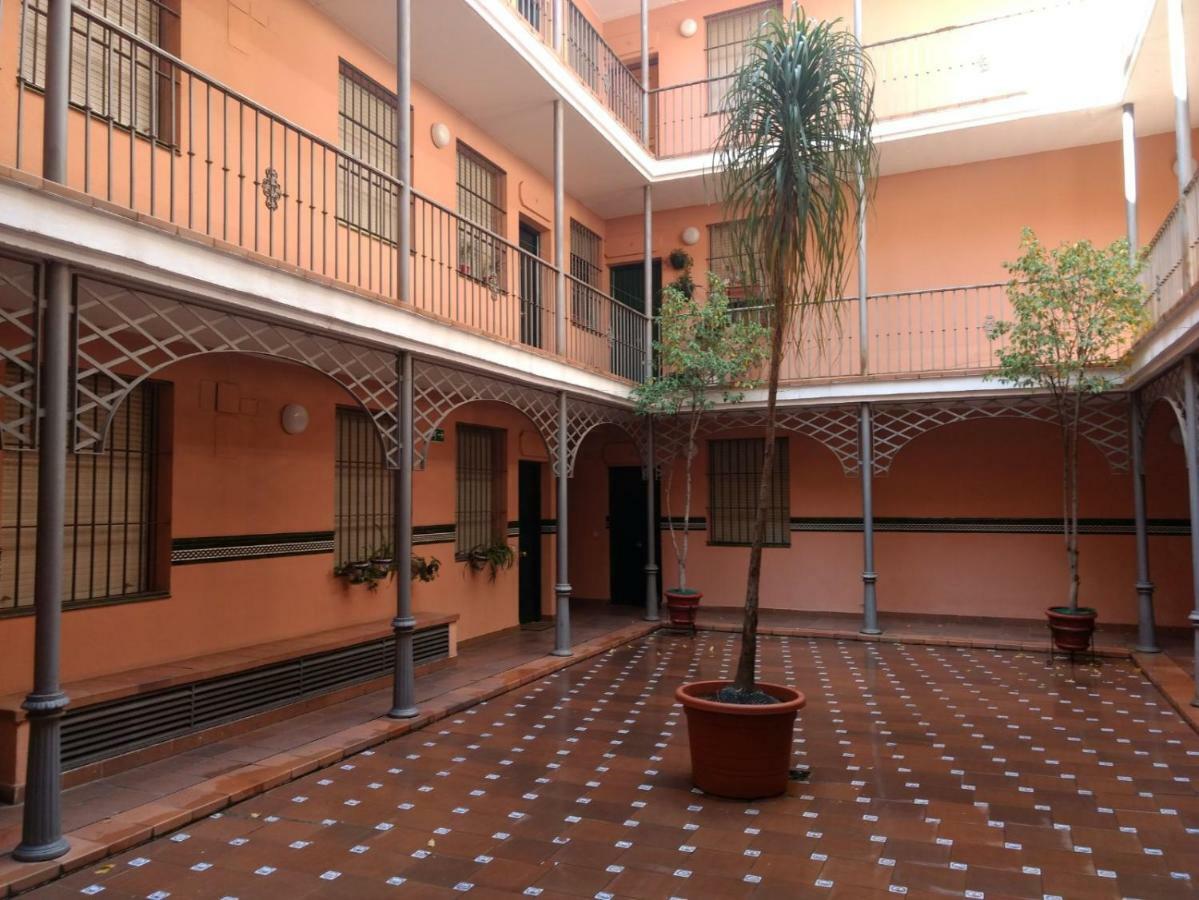 Segura Donkey — Photos 2