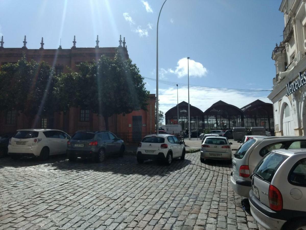 Segura Donkey, Seville